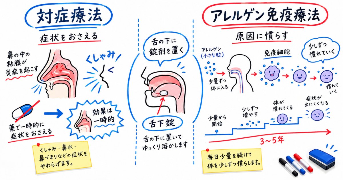 子どもの舌下免疫療法とは?根本的な体質改善を目指す仕組みとメリット